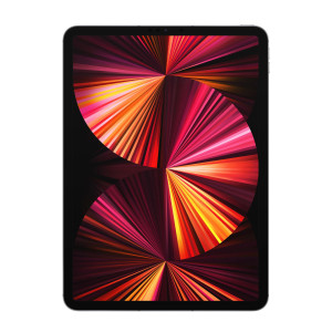 Apple iPad Pro 11 M1 1TB Wi-Fi + Cellular - Gwiezdna szarość