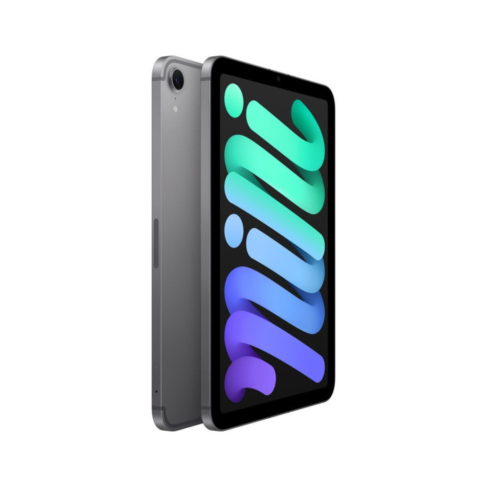 Apple iPad mini 8,3" | A17 Pro | 128 GB | Wi-Fi + Cellular 5G | Gwiezdna szarość
