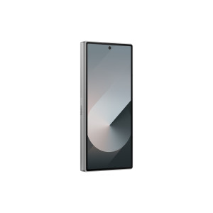 SAMSUNG Galaxy Z Fold6 5G 12/1TB Szary